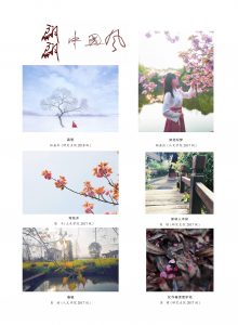 bevictor伟德官网