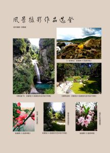 bevictor伟德官网