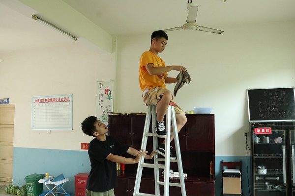 bevictor伟德官网