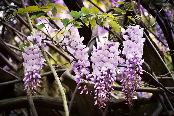 bevictor伟德官网