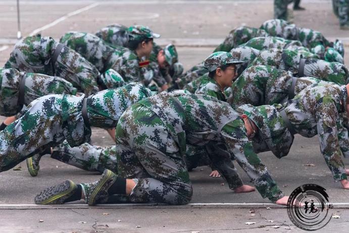 bevictor伟德官网