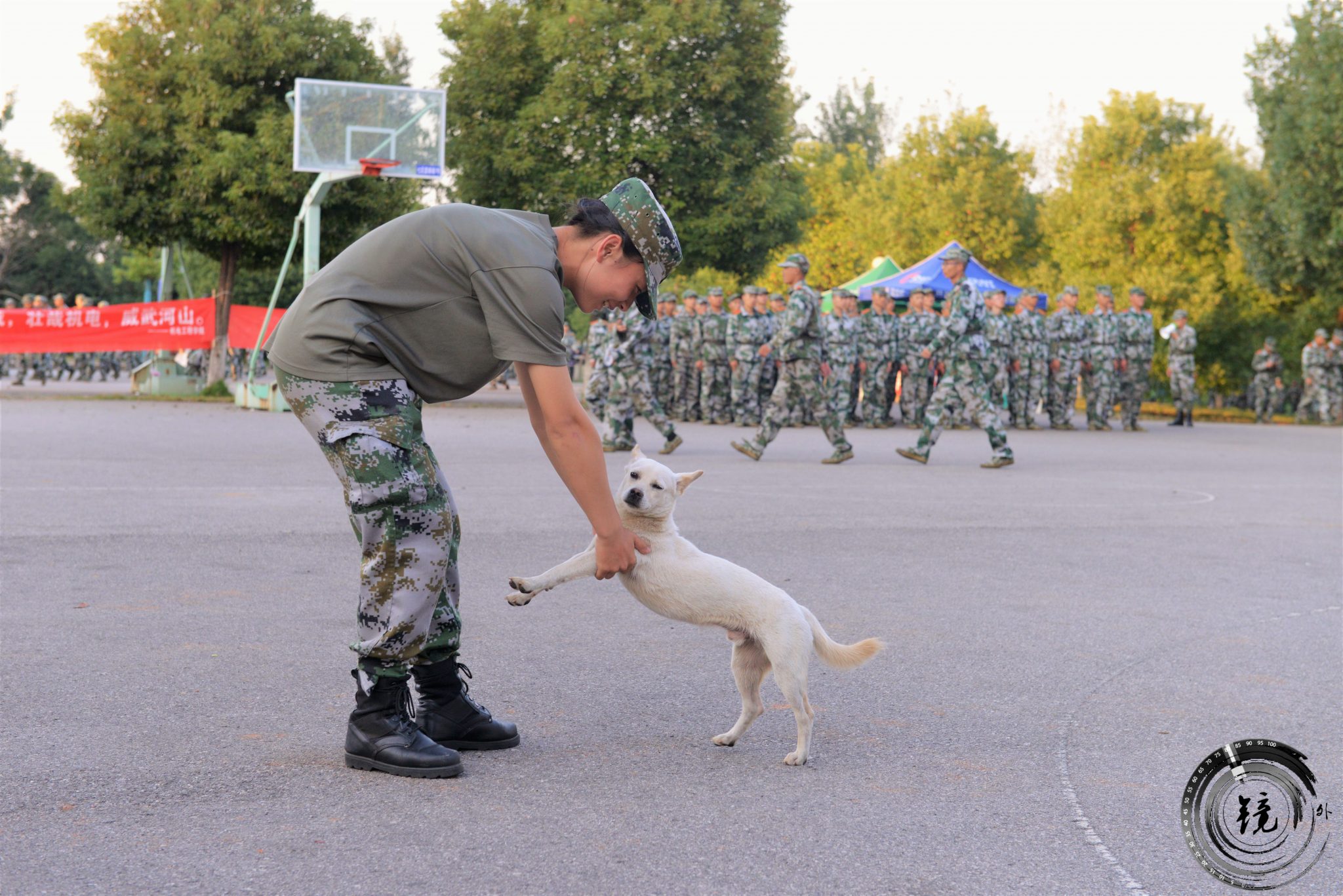 bevictor伟德官网