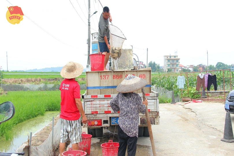 bevictor伟德官网