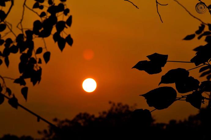 bevictor伟德官网