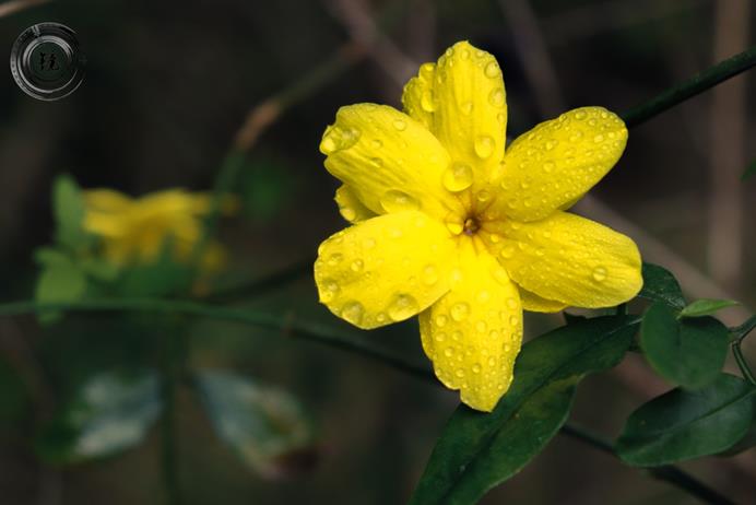 bevictor伟德官网