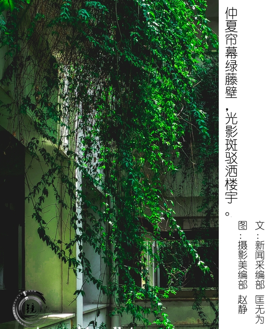 bevictor伟德官网