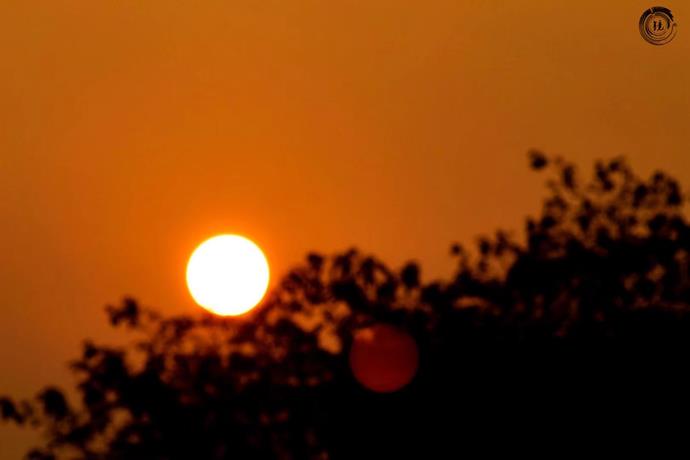 bevictor伟德官网