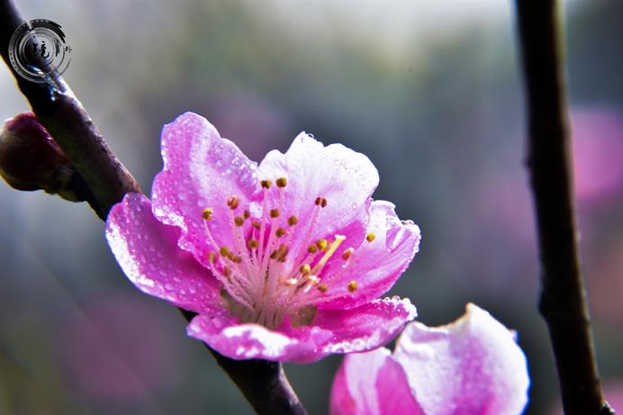 bevictor伟德官网