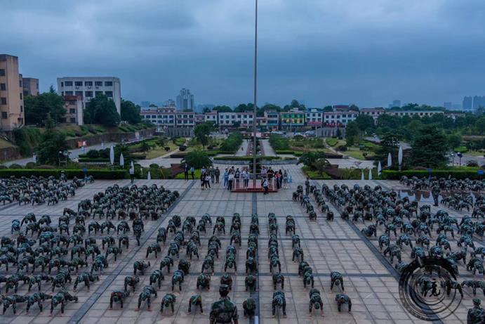 bevictor伟德官网