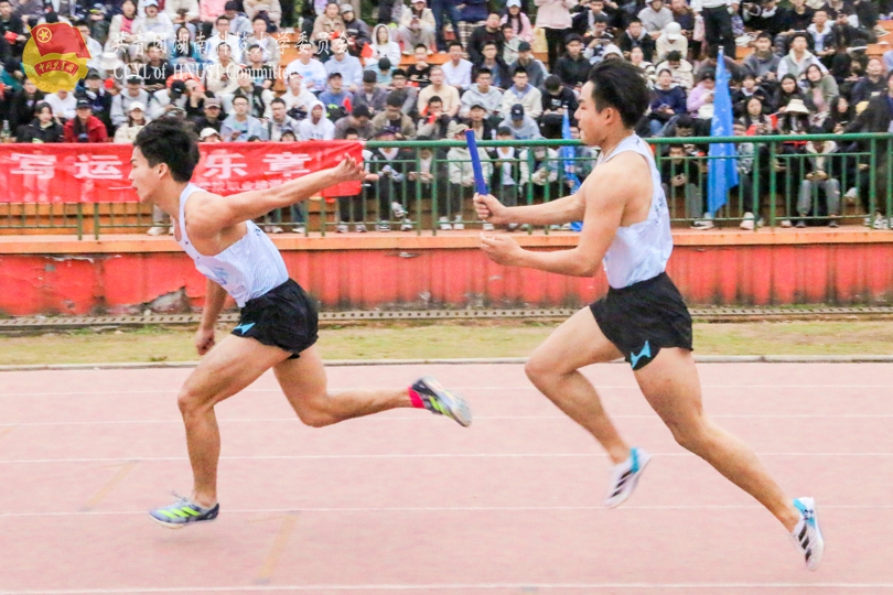 bevictor伟德官网