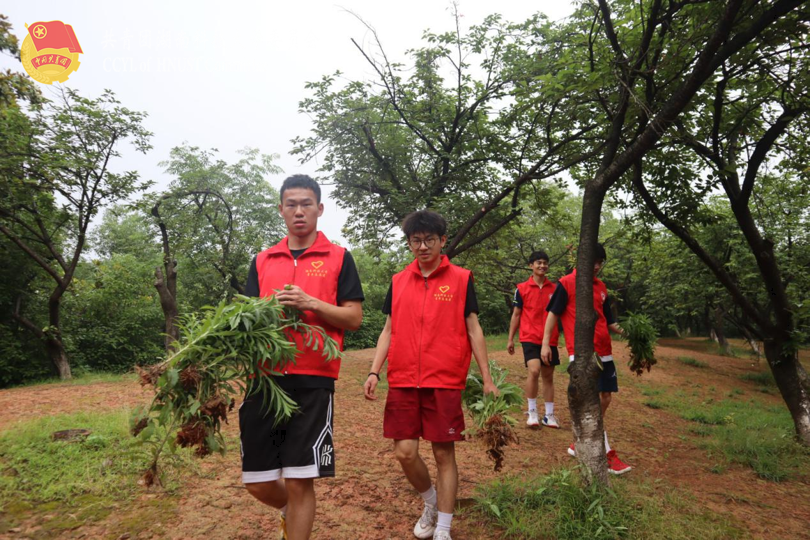 bevictor伟德官网