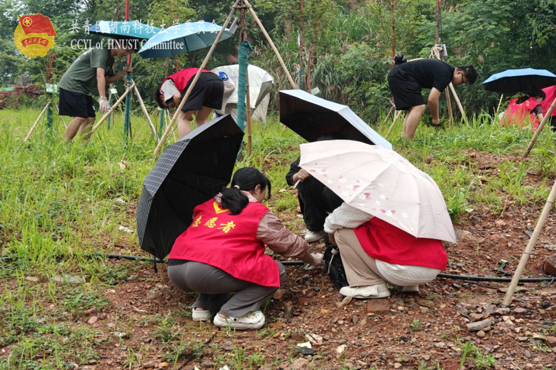 bevictor伟德官网