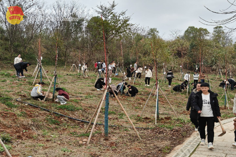 bevictor伟德官网