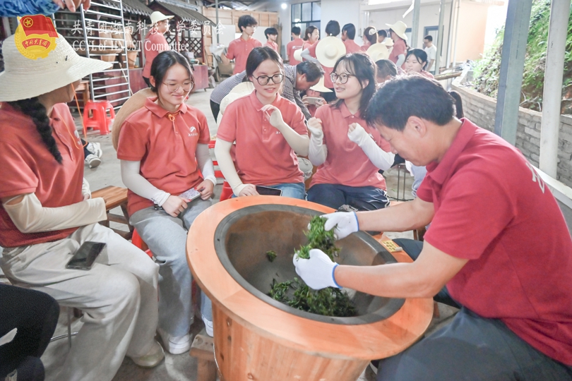 bevictor伟德官网