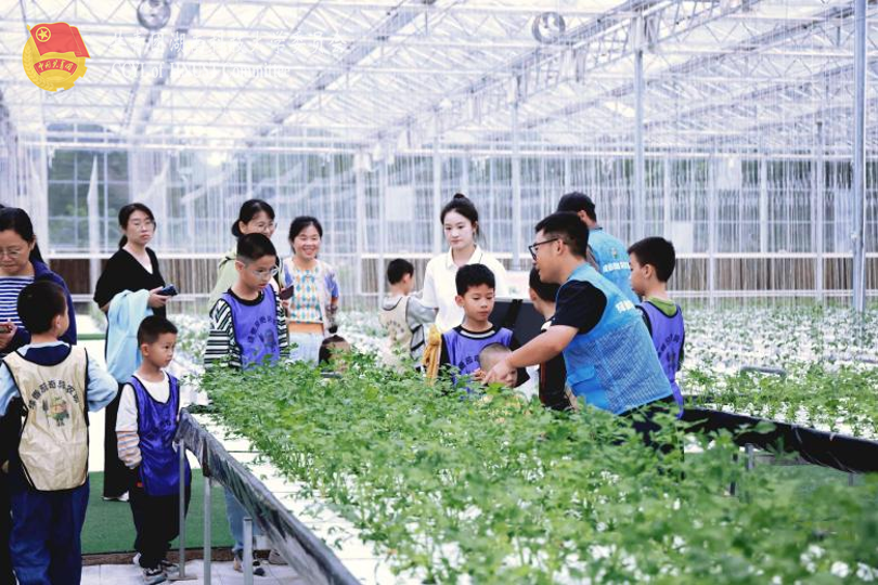 bevictor伟德官网