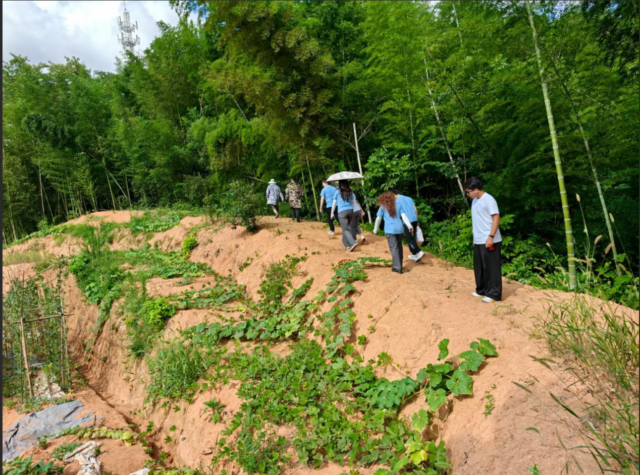 bevictor伟德官网